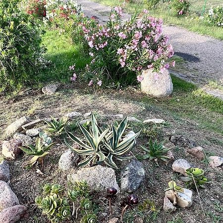 Stazzo La Foci Soluzioni Vista Mare Villa Aglientu Exterior foto