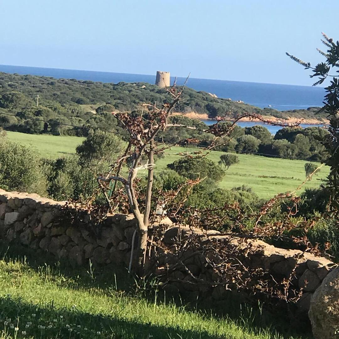 Stazzo La Foci Soluzioni Vista Mare Villa Aglientu Exterior foto