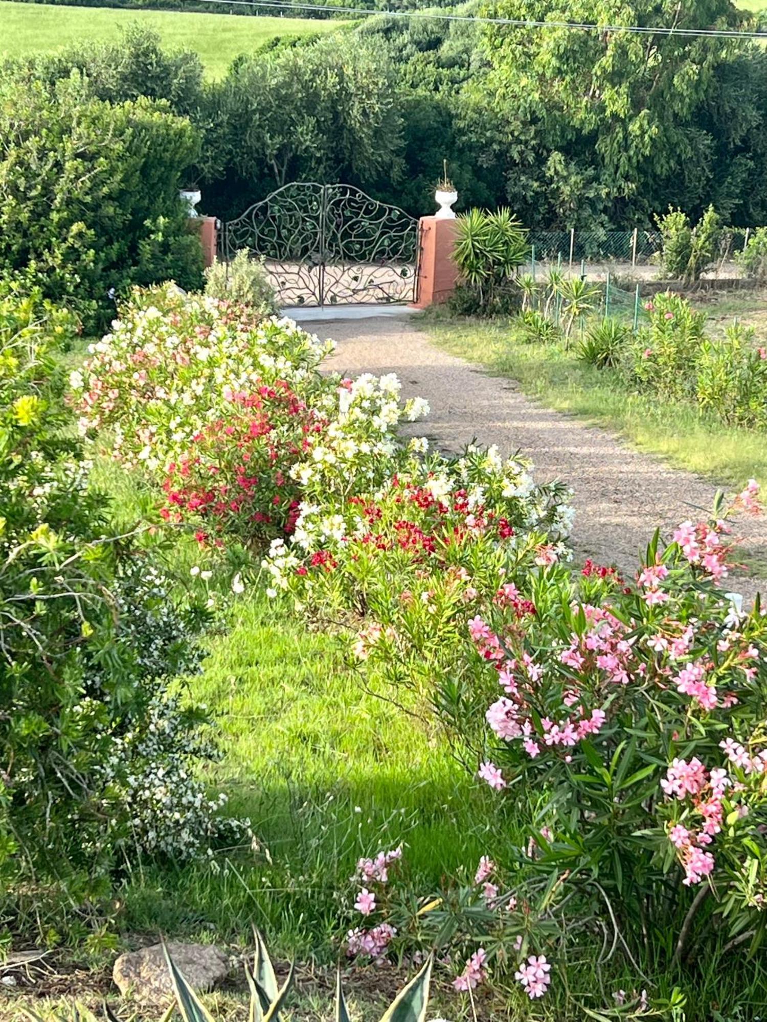 Stazzo La Foci Soluzioni Vista Mare Villa Aglientu Exterior foto
