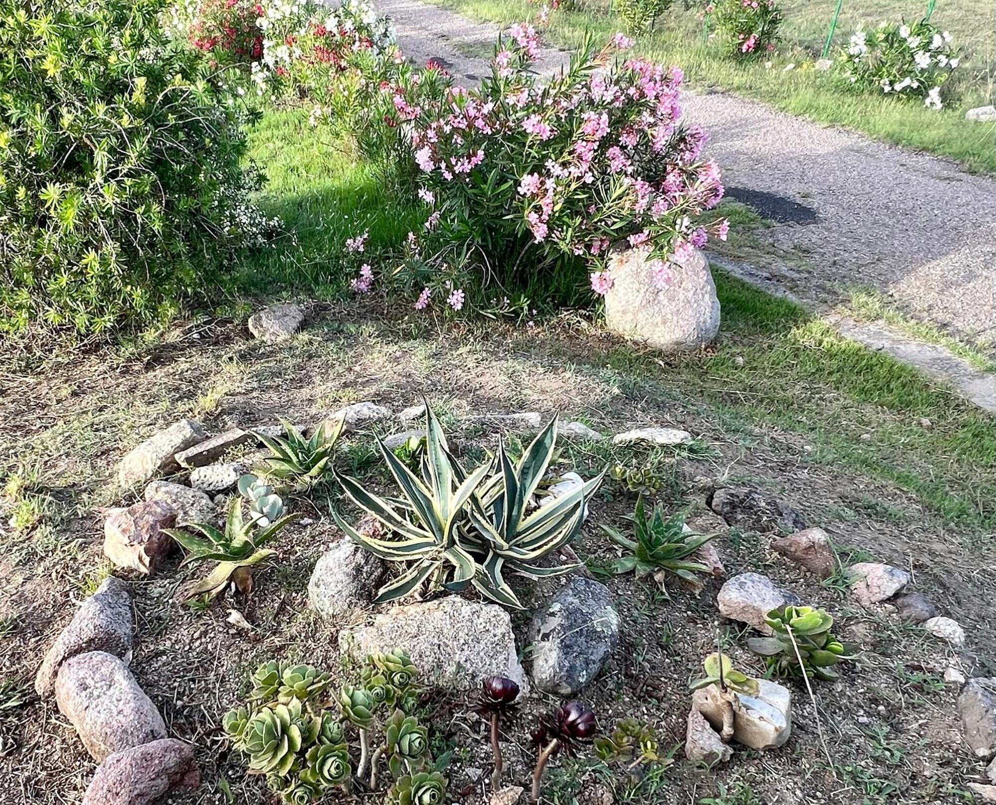 Stazzo La Foci Soluzioni Vista Mare Villa Aglientu Exterior foto